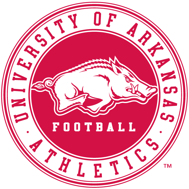 Arkansas Razorbacks 2009-Pres Misc Logo v2 diy DTF decal sticker